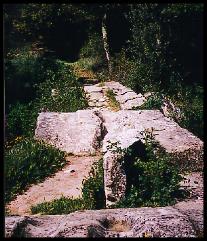 Le pont de Borngre.