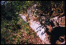 L'aqueduc dans la garrigue.