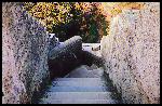 Le Pont -du-Gard. L'escalier de Questel construit en 1844.