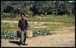 img. autour du lac Batur