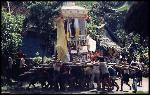 img. Promenade du mort avant la crmation  Bali