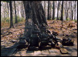 candi candirejo