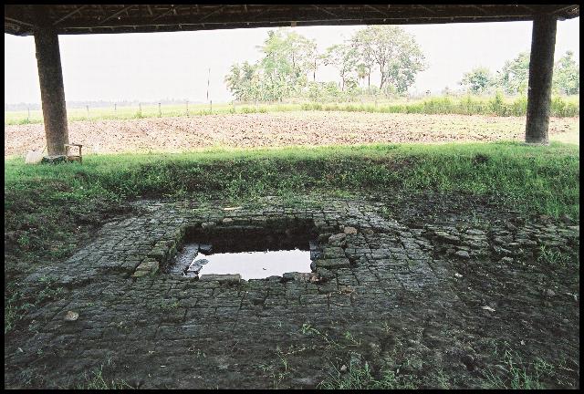 Batujaya. Candi Telagajaya VIII.