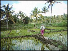 Candi Gedong Putri