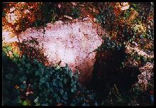 Au pied de l'arbre.