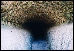 Le long de la voie ferr�e