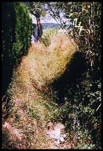 Dans le ruisseau de B�zouce.